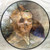 Demons & Wizards — Demons & Wizards (Germany 1999, Picture Disc, NM/VG+)