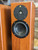 Totem Arro ~ Superb pair of Floorstanders