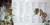 Kate Bush – Never For Ever (LP used Canada 1980 gatefold jacket VG+/VG-)