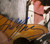 Neil Young Autograph with COA
