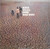 Marvin, Welch & Farrar – Second Opinion (LP used Canada 1972 from members of The Shadows VG+/VG+)