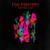 Foo Fighters — Wasting Light (US 2011, NM/EX)
