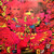 Cream — Disraeli Gears (Japan 1975 Reissue, NM-/EX)