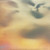 New Order – State Of The Nation / Shame Of The Nation (2 track 12 inch EP used Canada 1986 VG+/VG+)