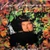 Van Morrison – A Sense Of Wonder (LP used Canada 1984 NM-/VG+)