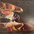 Pidgeon - Pidgeon (1969 US, Gatefold, VG+/VG) 