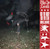 This Is Lorelei - Box for Buddy, Box for Star (Super Deluxe) (Super Deluxe)