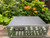 Sony TA-2000F Preamplifier - Serviced - Original Box - Serviced 9/10