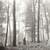 Taylor Swift - Folklore (“In The Trees” Beige Vinyl - EX/VG+)