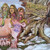 Black Oak Arkansas – High On The Hog (LP used Canada 1973 VG+/VG+)