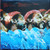 Marvin Gaye – Marvin Gaye Live! (LP used Canada 1974 gatefold VG+/VG+)
