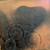 Pink Floyd – Meddle (VG+/VG+) (Canadian Gatefold Pressing)