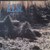 R.E.M. – Murmur (LP used Canada 1983 VG+/VG+)