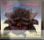 Thin Lizzy - Black Rose (SEALED) (2011, EU) - Deluxe Edition CD