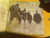 Earthride – Something Wicked  (2 x vinyl 12 inch at 45 RPM used Czech Republic 2011 on 180 gm gold vinyl in gatefold jacket NM-/VG+)