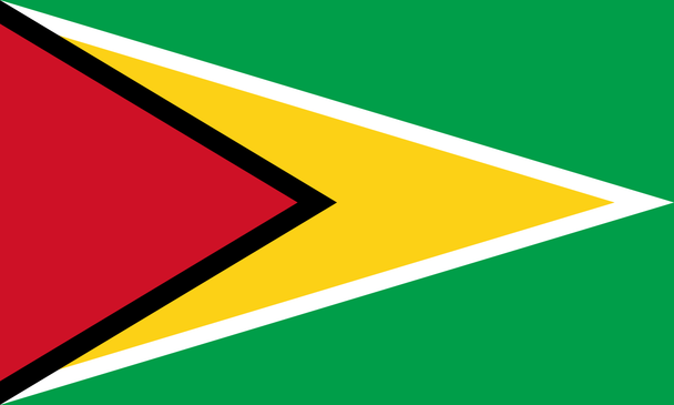 Guyana (In/Outdoor) 3x5 ft Polyester Flag