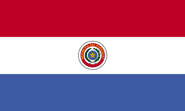 Paraguay (In/Outdoor) 3x5 ft Polyester Flag