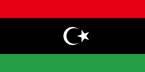 Libya (In/Outdoor) 3x5 ft Polyester Flag