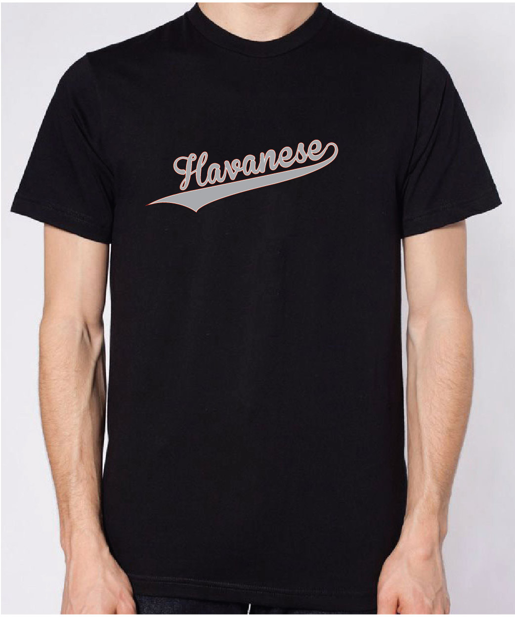 havanese tee shirts
