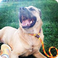 Feature Friday – This is Jenny, and we've failed her!