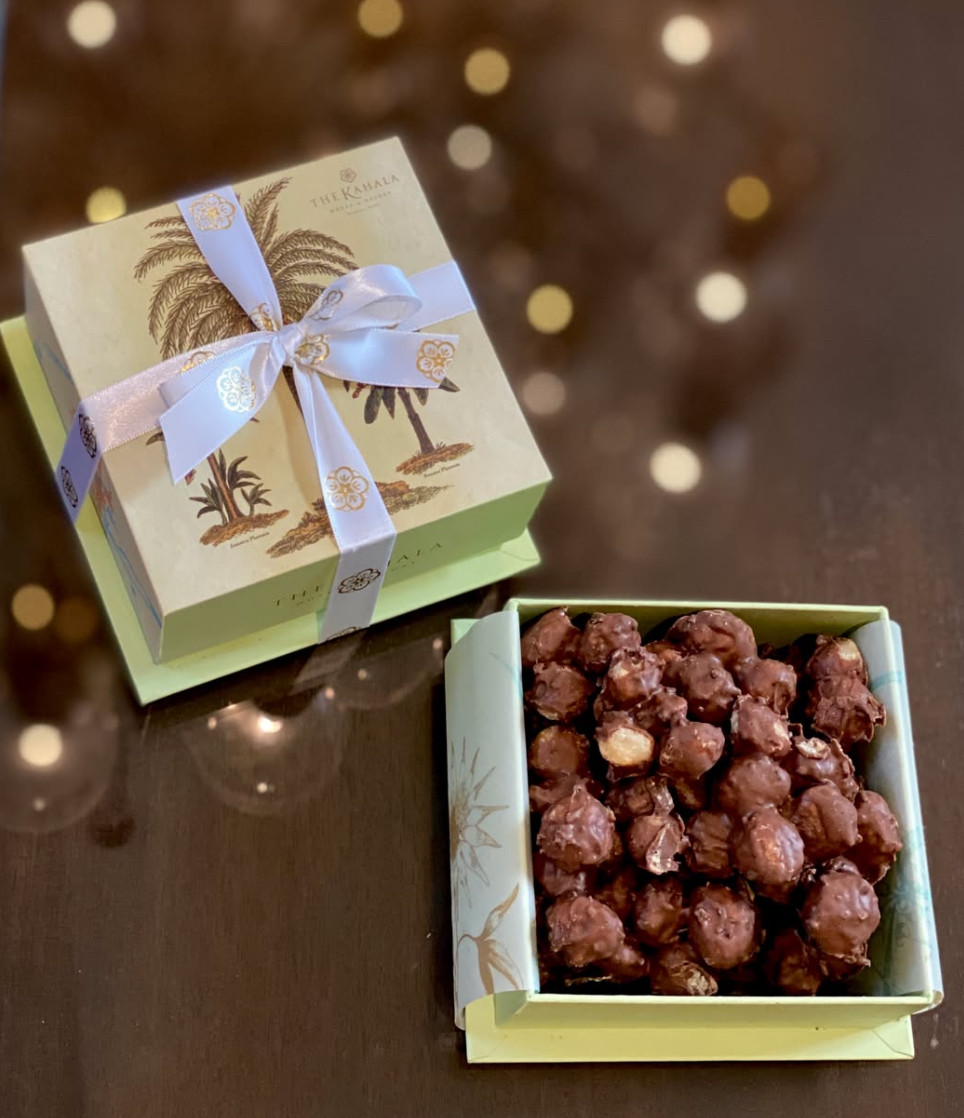 Chocolate Covered Mac Nuts Half Pound - Signature by the Kahala