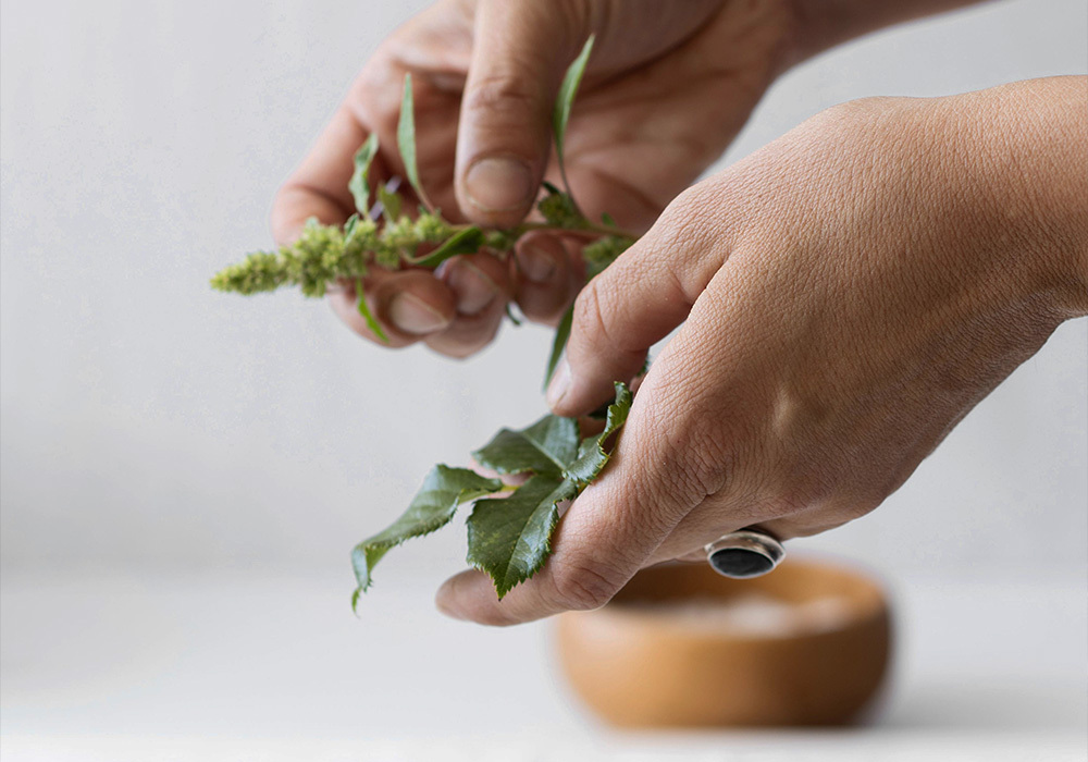 Servicio de Fitoterapia en Farmacia Torre de Romo en Murcia