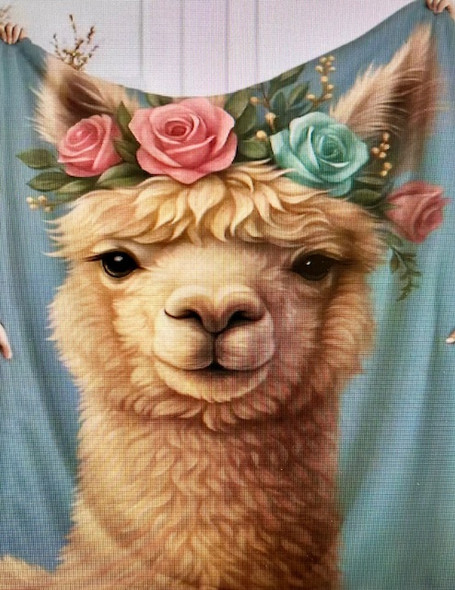 New! Alpaca Throws