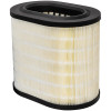 Baldwin PA10068 Oval Air Filter