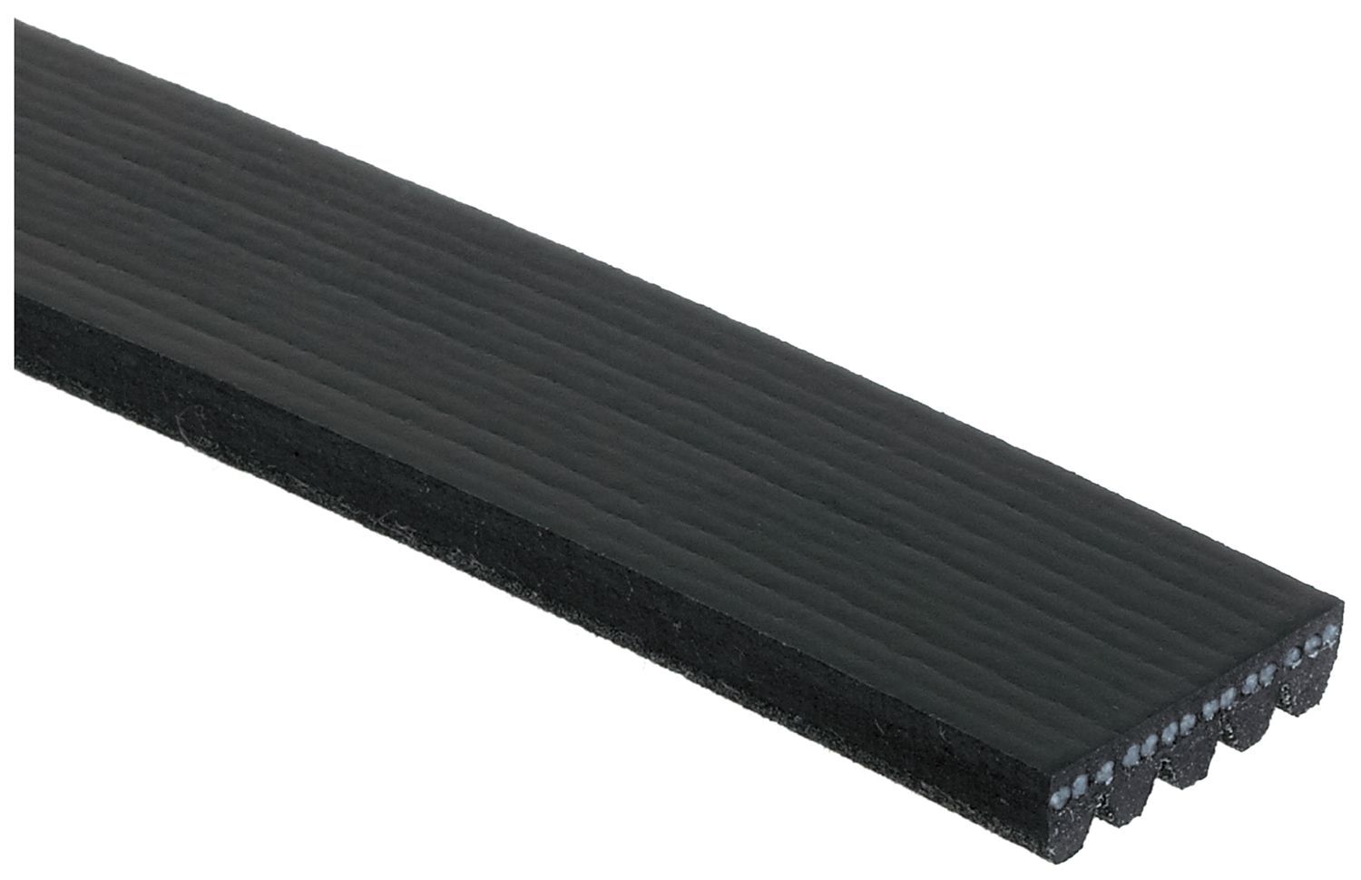 5 Rib Belts