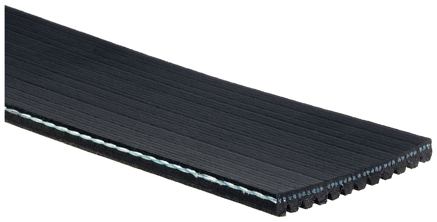 12 Rib Belts