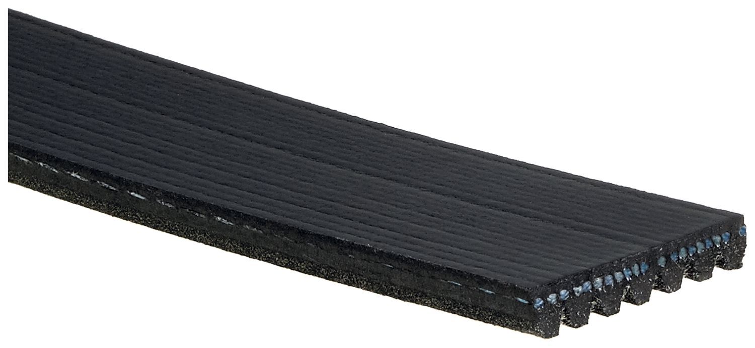 7 Rib Belts