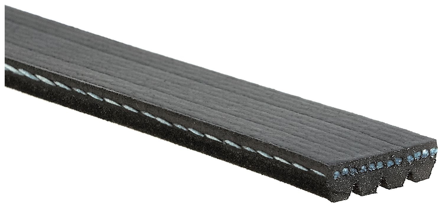 4 Rib Belts