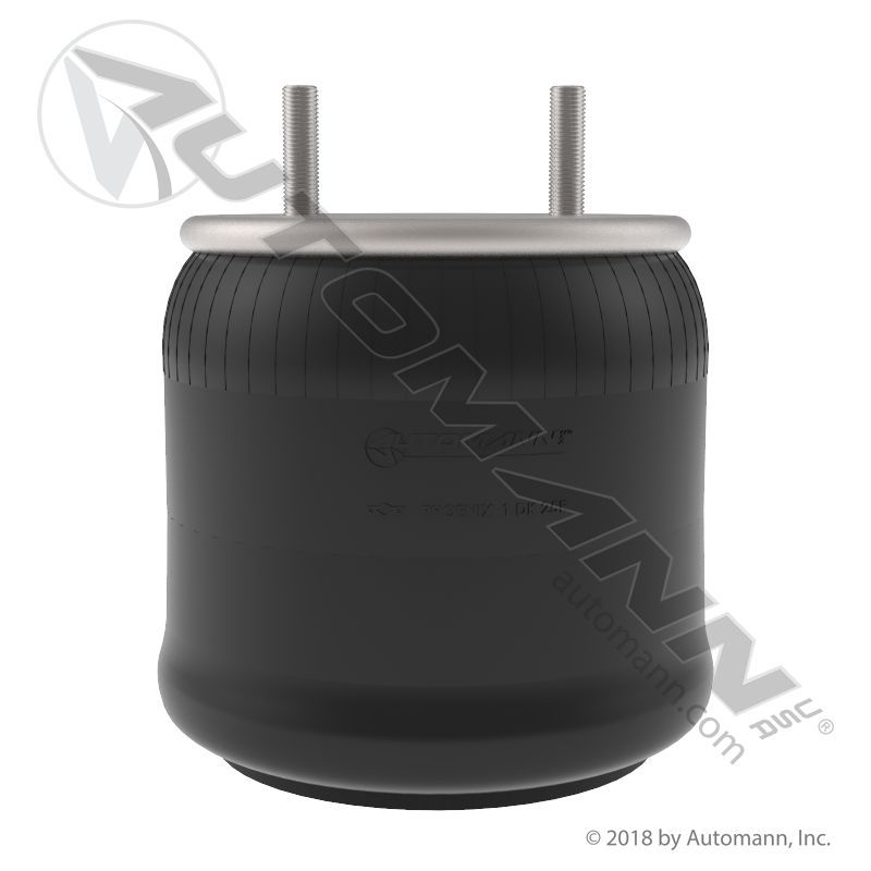 Automann / Phoenix AB1DK25E-8713 Air Bag for Hendrickson INTRAAX
