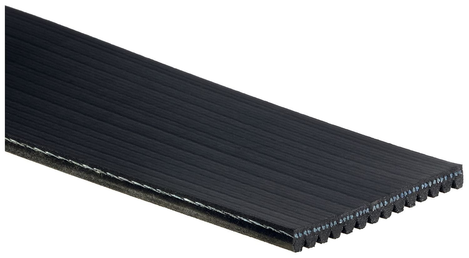 14 Rib Belts