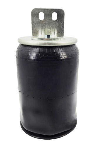 プーチン① Automann / Phoenix AB1DF23I-P1066 Air Bag for International / Ford