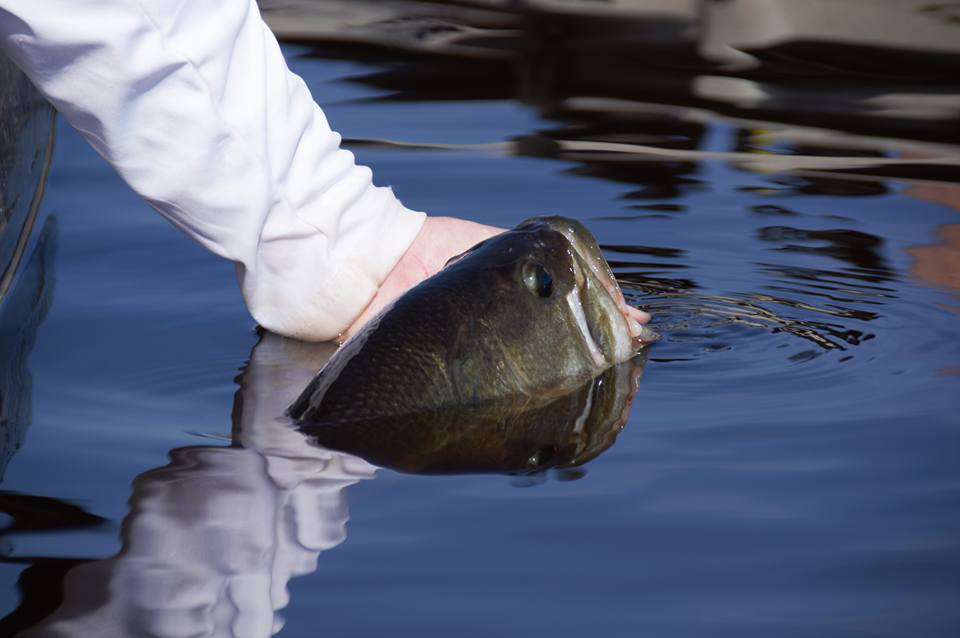 Plugging For Back Bay Bass - On The Water