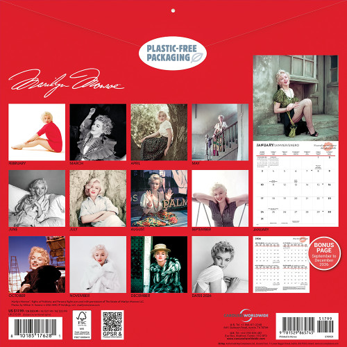 Marilyn Monroe 2027 Wall Calendar CAROUSEL (270959)   by Carousel Calendars Alt Image 1