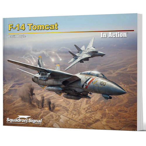 F-14 Tomcat In Action Main Image