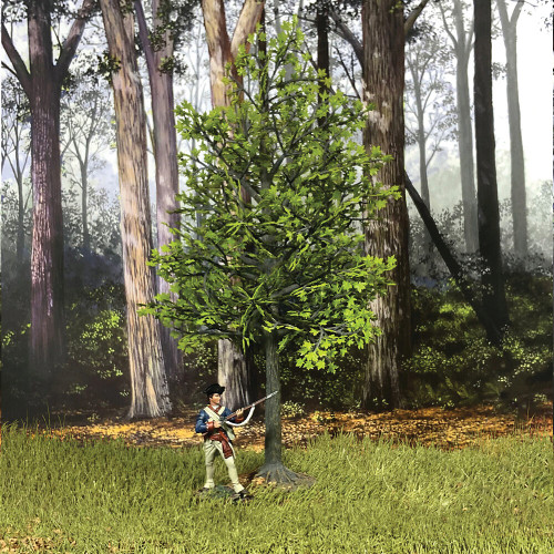 Maple Tree, Summer 11" Tall William Britain (53021) Alt Image 1