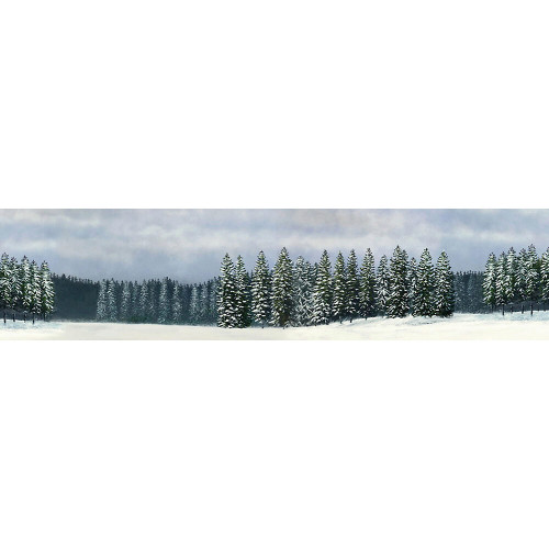 Winter Evergreen Scenic Backdrop   by William Britain Main Image