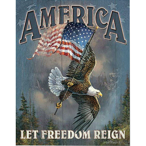 America - Let Freedom Reign Metal Sign   by Desperate Enterprises Main Image