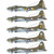 B-17F Flying Fortress 1/72 Kit Alt Image 3