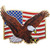 USA Flag and Eagle Lapel Pin Eagle Emblems (P15705) Main Image