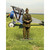 Billy Bishop 1/30 Figure WILLIAM BRITAIN (10211) 1:30 scale Metal by William Britain Alt Image 1