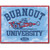 Burnout University Sign  Metal Sign by Desperate Enterprises Main Image
