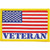 USA Veteran Patch  PM3111 (M028)  Cotton Twill by Eagle Emblems Main Image