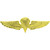 Paratrooper Wings Lapel Pin P16567 (C004) Main Image