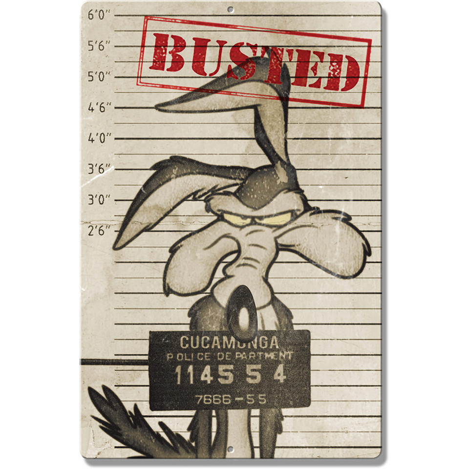 Looney Tunes Busted Metal Sign  Metal Sign by Desperate Enterprises Main Image