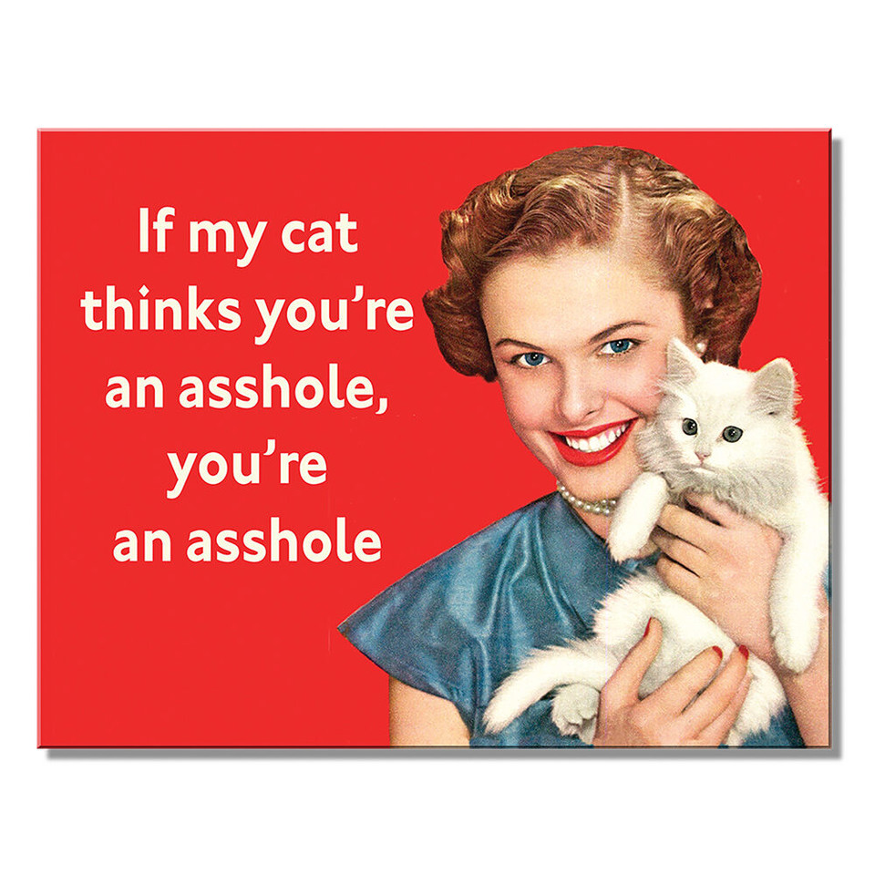 My Cat Metal Sign  2909 Main Image