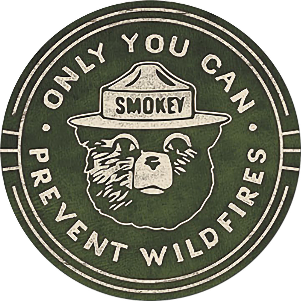 Smokey the Bear Metal Sign   by Desperate Enterprises Main Image